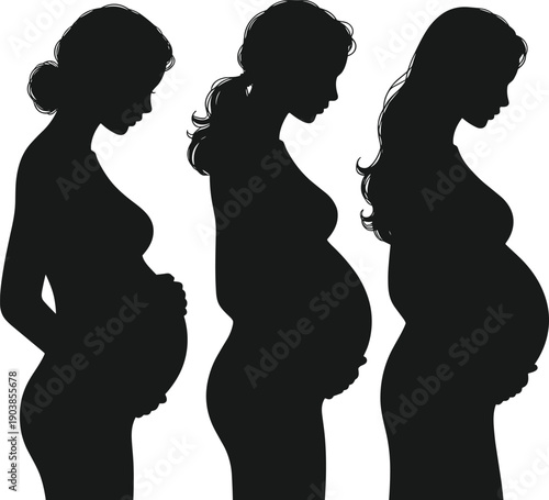 Set of Three Black Silhouettes Showing Different Stages of Pregnancy and Maternal Body Changes Isolated on White Background for Motherhood Maternity and Healthcare Concepts