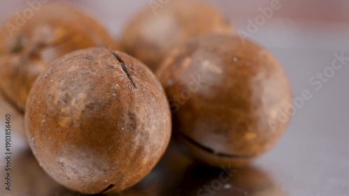 Wallpaper Mural video of a macadamia nut in its shell Torontodigital.ca