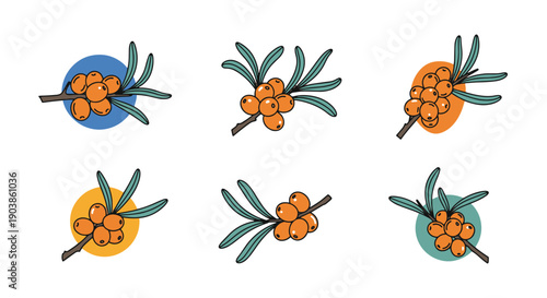 Sea Buckthorn Line filed color trendy design