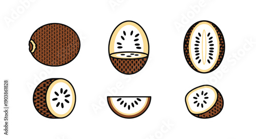 Snake Fruit Line art vector set