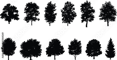 Set of detailed tree silhouettes featuring various deciduous and conifer shapes for forest landscape nature illustration and design use