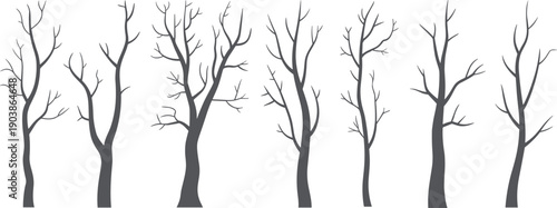Minimal collection of bare tree silhouettes with thin leafless branches for winter forest illustration botanical design and nature graphics