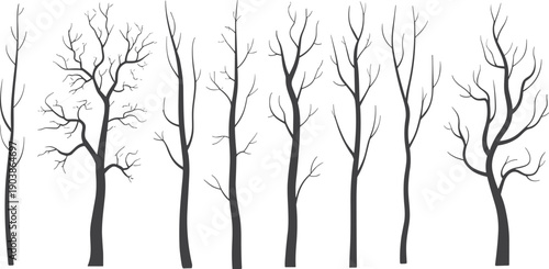 Collection of minimalist bare tree silhouettes with leafless winter branches for nature forest illustration, botanical graphics, and modern design projects