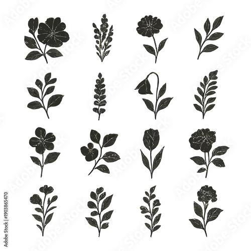 A collection of black floral silhouettes displayed in neat vertical rows showcasing botanical variety