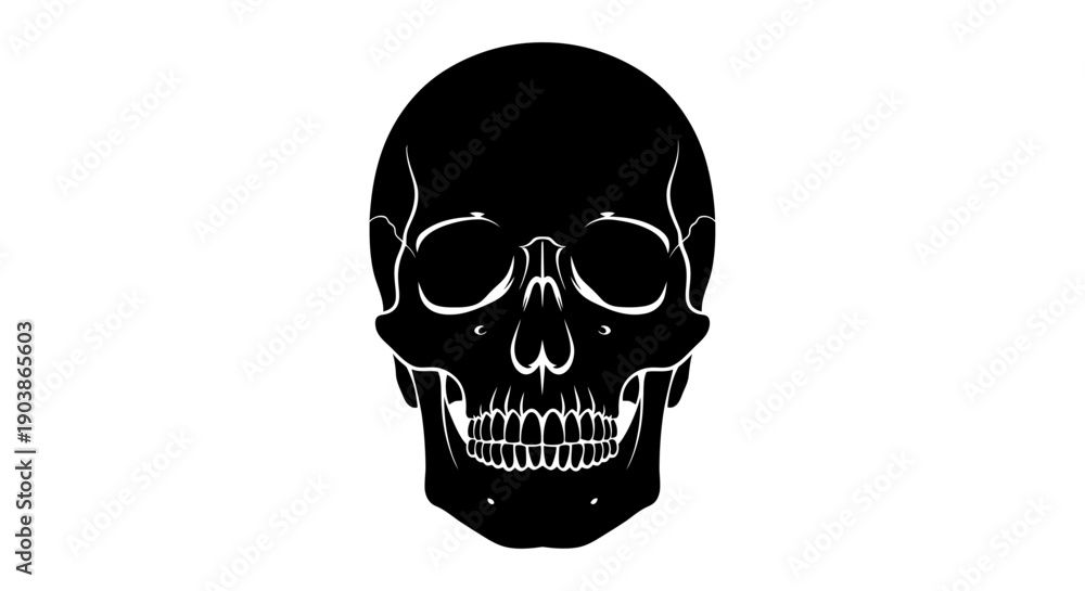 Obraz premium Black and white illustration of a human skull.