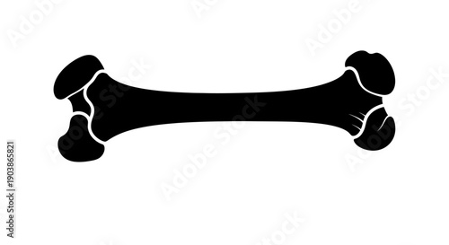 Black silhouette of a human femur bone on a white background.