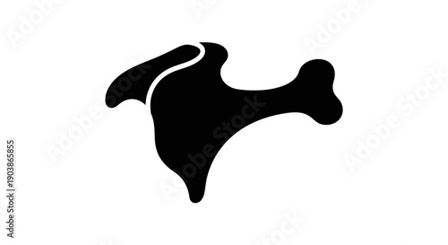 Black silhouette of a human shoulder bone on white background.