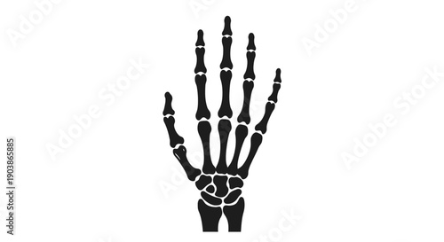 Black and white illustration of a human hand skeleton.