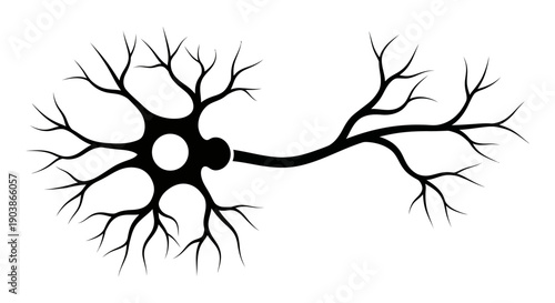 Black and white illustration of a neuron cell with branching dendrites and axon.