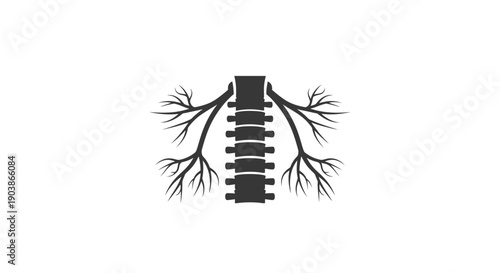 Human Respiratory System Illustration with Lungs and Trachea.
