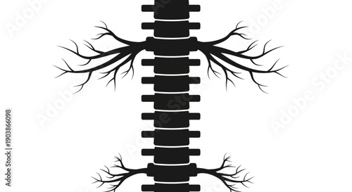 Human Trachea and Bronchi Anatomy Illustration.
