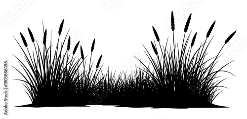 Salt Marsh Grasses Silhouette - Minimal Vector