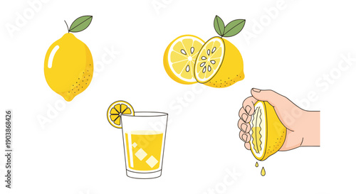 Lemon Juice Line art digital illustration