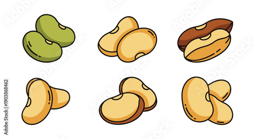 Lima Beans Line art premium color outline design