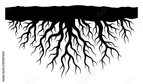 Mycelium Network - Minimalist Vector Illustration