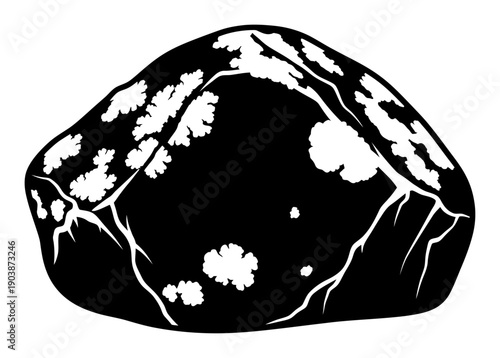 Boreal Forest Rock Lichen - Minimalist Vector