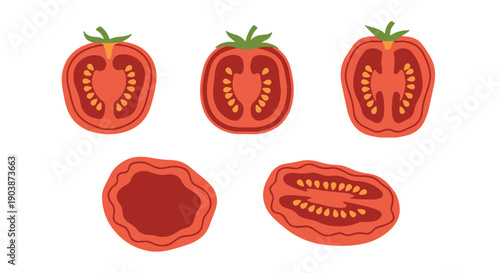 Sun dried Tomato color line art flat design