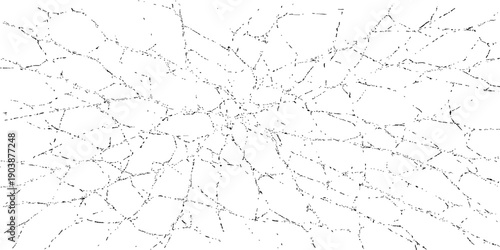 Dewy spider web on a grunge gray concrete wall with a cracked vintage stone texture and peeling paint pattern on a dark background