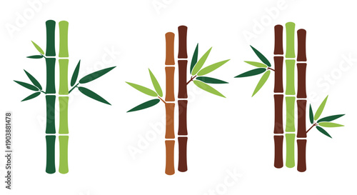 Bamboo Line art color filled design