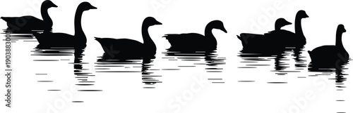 Goose silhouettes swimming on water, wild waterfowl birds reflection scene, black animal shapes, serene nature wildlife, minimalist vector illustration