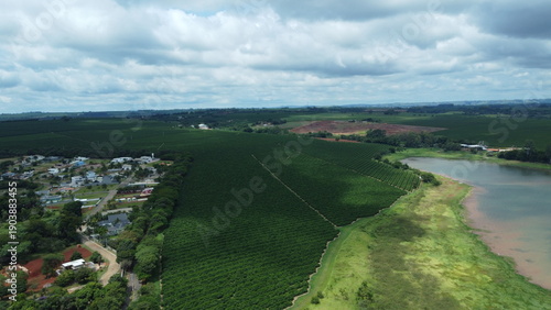Φωτογραφία Aerial view of a large coffee plantation next to a rural residential area and a lake, showing agricultural fields and countryside landscape in Brazil