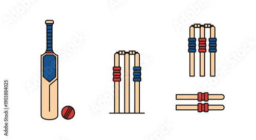 Cricket Bat Stumps colorful digital illustration