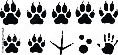 Animal track silhouette illustration, paw prints, bird footprints, rodent marks, human handprint, wildlife pattern, nature design, black outline, fauna art, white background