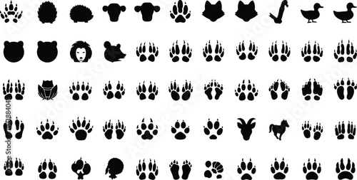 Animal heads and footprints silhouettes collection, wildlife tracking vector, nature outline icons, paw print design set, black silhouette art illustration