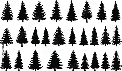 Collection of black evergreen tree silhouettes featuring various pine and fir shapes, forest illustration set for nature, outdoor landscape, winter and environmental design