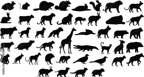 Animal silhouette, wildlife, mammals, birds, reptiles, nature, diversity, vector, illustration, abstract, design, zoo, forest, jungle, ecology, environment, biology, species, outdoor, pattern