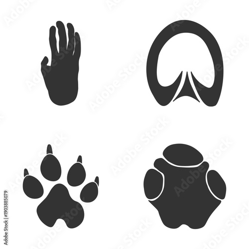 Footprints of Animal, Traces of a Hyena, Rhinoceros , Monkey, Zebra on white background.  Silhouette animal tracks in gray. Paw Print for your design. Vector illustration. EPS10.