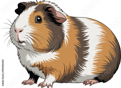 A charming guinea pig with a mix of brown, white, and black fur standing on its hind legs