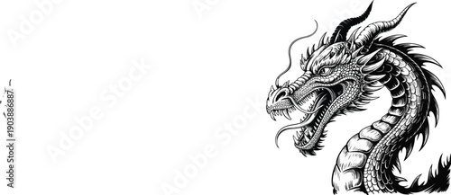 Intricate black and white illustration of a dragon's head and neck