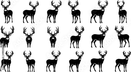 Deer stag silhouette collection showing multiple standing poses with antlers isolated on white background wildlife vector illustration set