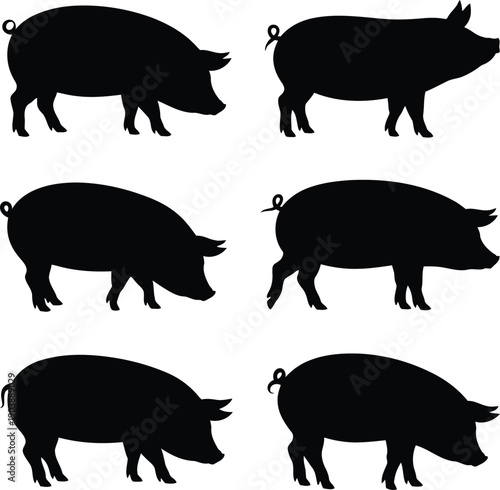 Six black silhouette pigs in various poses standing on white background