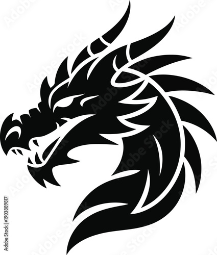 A detailed illustration of a dragon head with flowing mane and sharp features