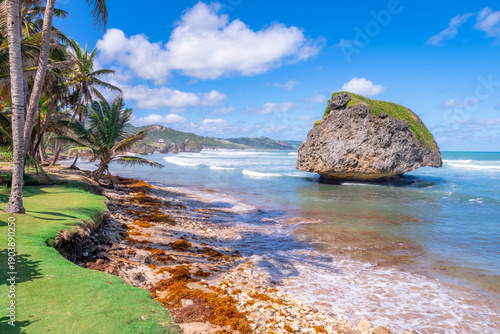 Bild auf Leinwand Eroded rock formations define the Barbados coast