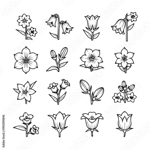 Bellflower Flower Line Art Collection - Botanical Illustrations