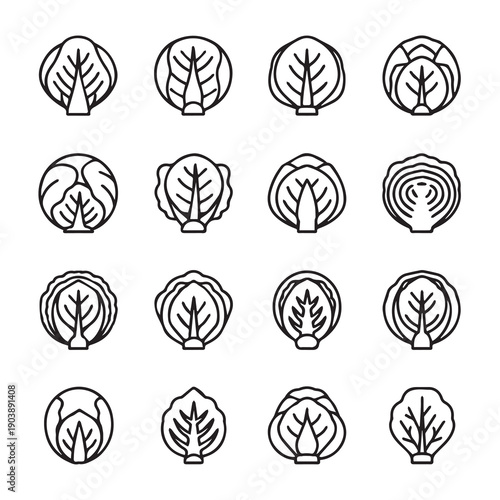 Cabbage Icon Set, Different Varieties, Line Art, Isolated White Background