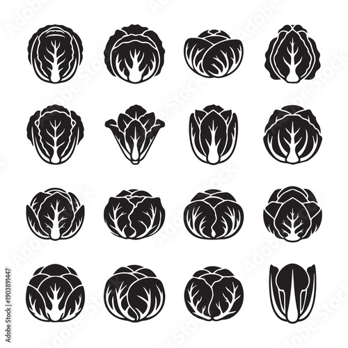 Cabbage Icons Collection, Various Styles, Black and White, Isolated on White