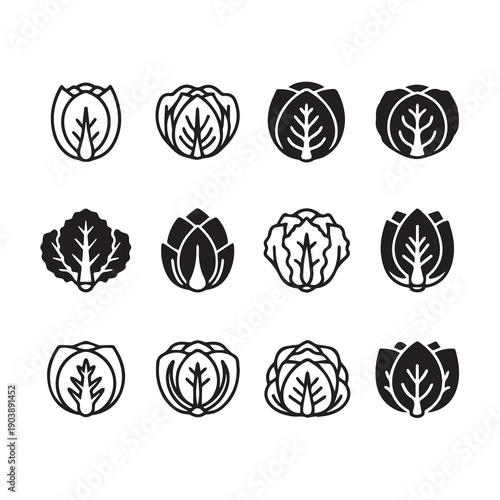 Cabbage Icons Set Vector Illustration Simple Line Art and Silhouette Collection