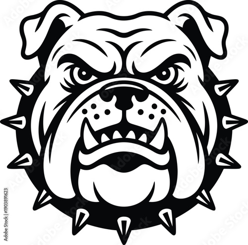 Aggressive bulldog with spiked collar showcasing fierce expression