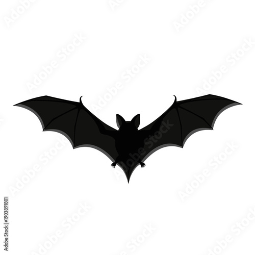Dark silhouette of a bat in flight with wings spread wide