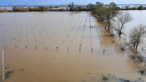 Фотография The impact of floods in Portugal in 2026, when rivers overflow and inundate agricultural fields