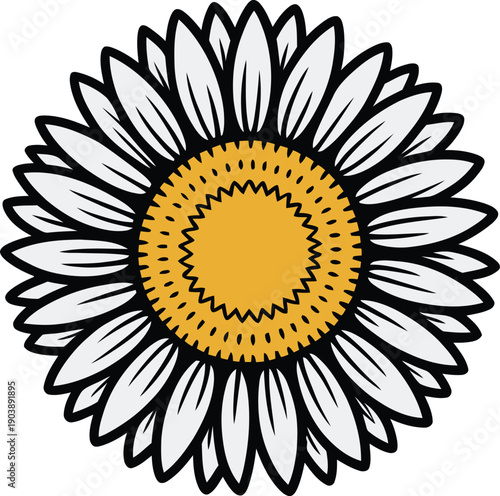 Sunflower sketch detailed floral drawing with bold petals and center