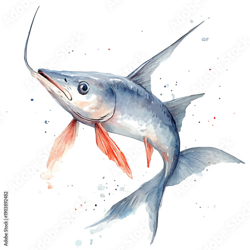 Swordfish, illustration watercolor artwork with subtle gradients and elegant contours, isolated on a white background.
