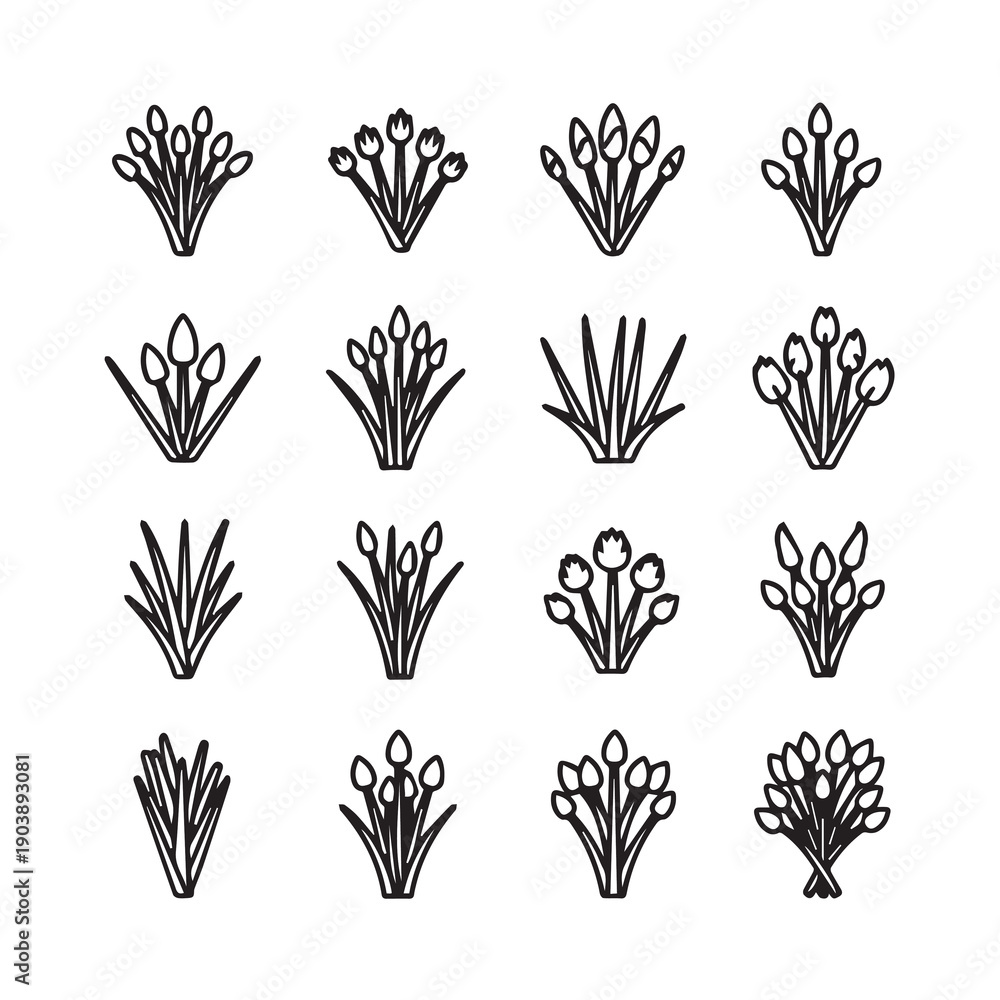 Fototapeta premium Collection of Budding Tulip Icons on White Background, Minimalist Line Art
