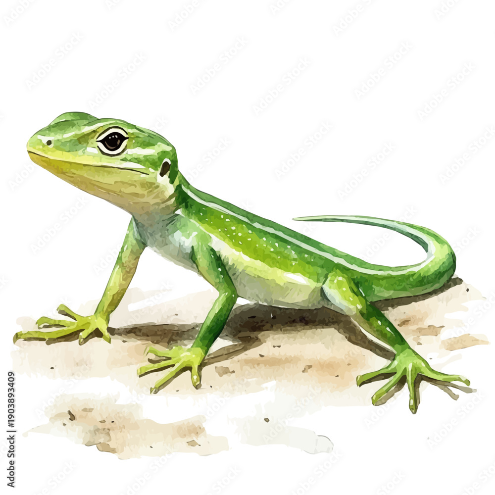 Fototapeta premium Small Pet Lizard, refined watercolor illustration with luminous tones and soft layered brushwork, isolated on a white background.