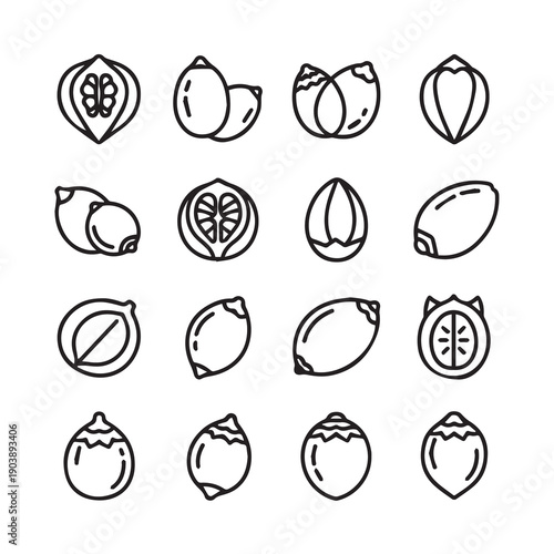 Assorted Nuts and Seeds Icons Set, Line Art Collection