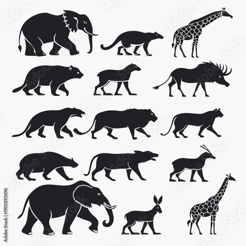 Photography Silhouettes of various wild animals walking Vector